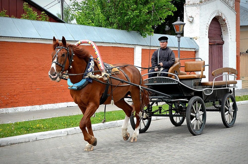 Photograph by Зинаида Фадеева