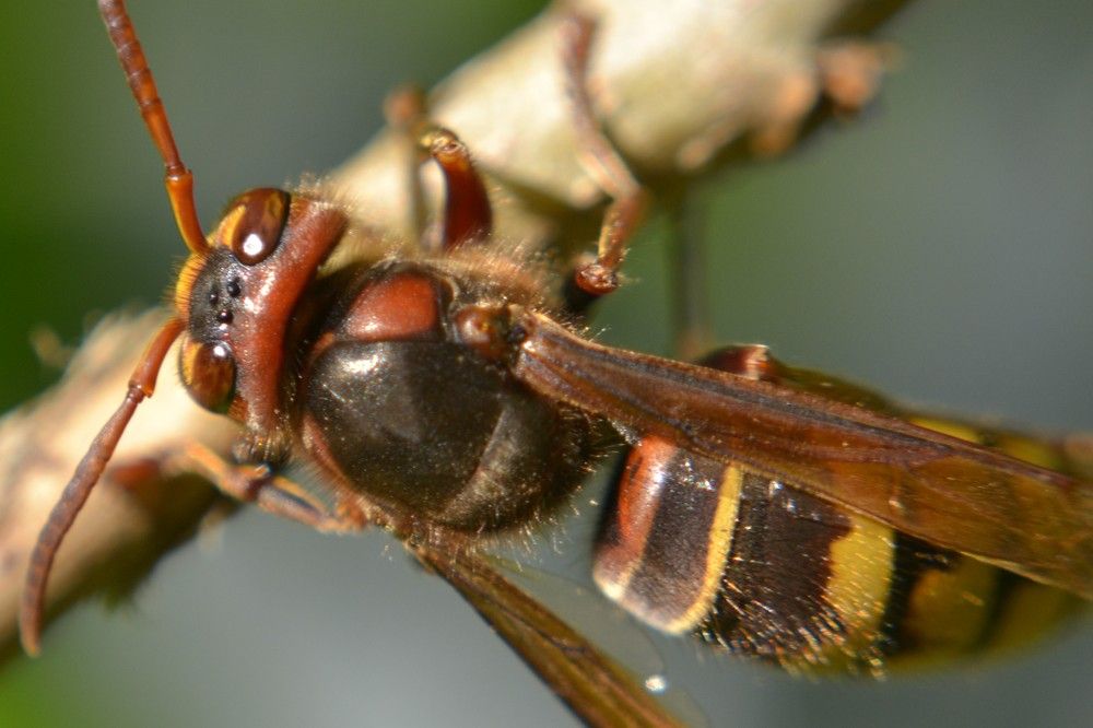 Photograph by Ольга Сафронова