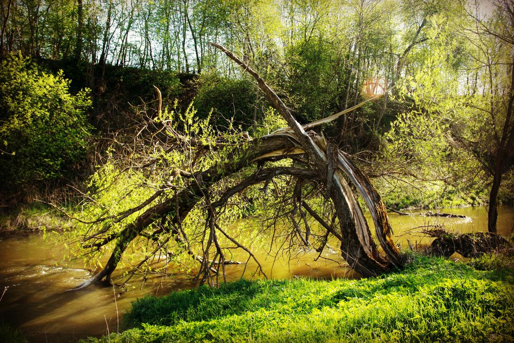 Photograph by Екатерина Алимова