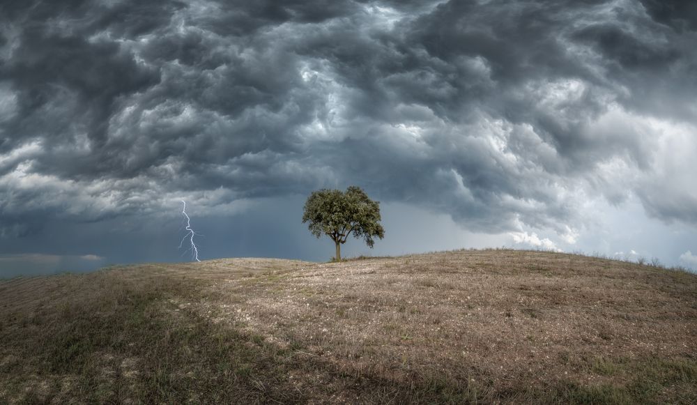 Photograph by Tiago Marques