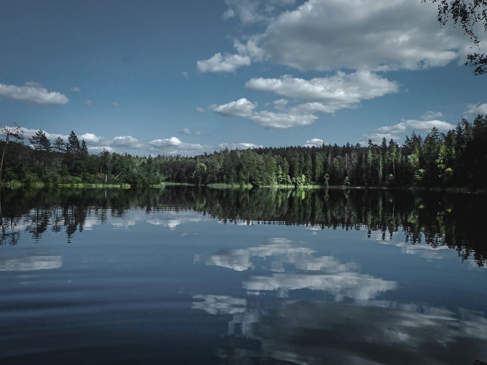 Photograph by Ольга Еженевская