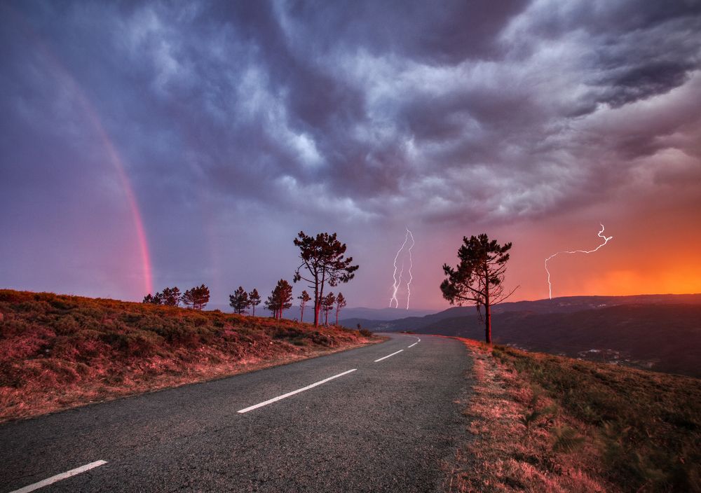 Photograph by Tiago Marques