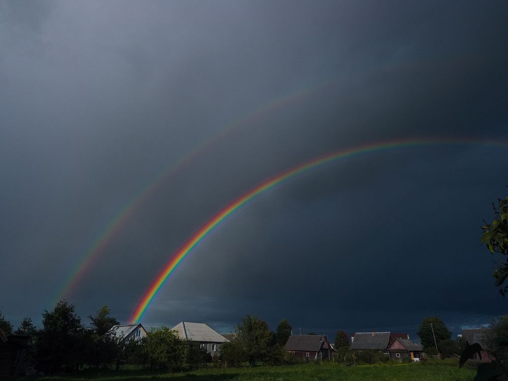 Photograph by Ольга Еженевская