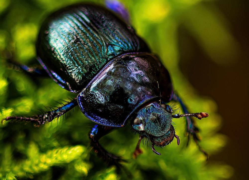 Photograph by Wendy Vanhoudt