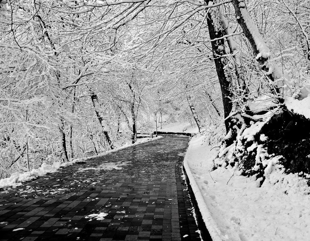 Photograph by Александр