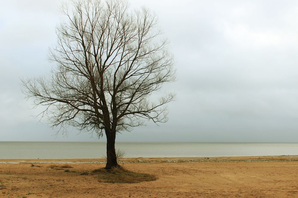 Photograph by Анна Штейнмиллер