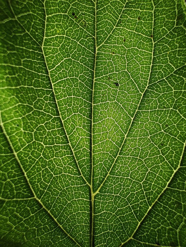 Фотография автора PRADIPTAMOY PAUL