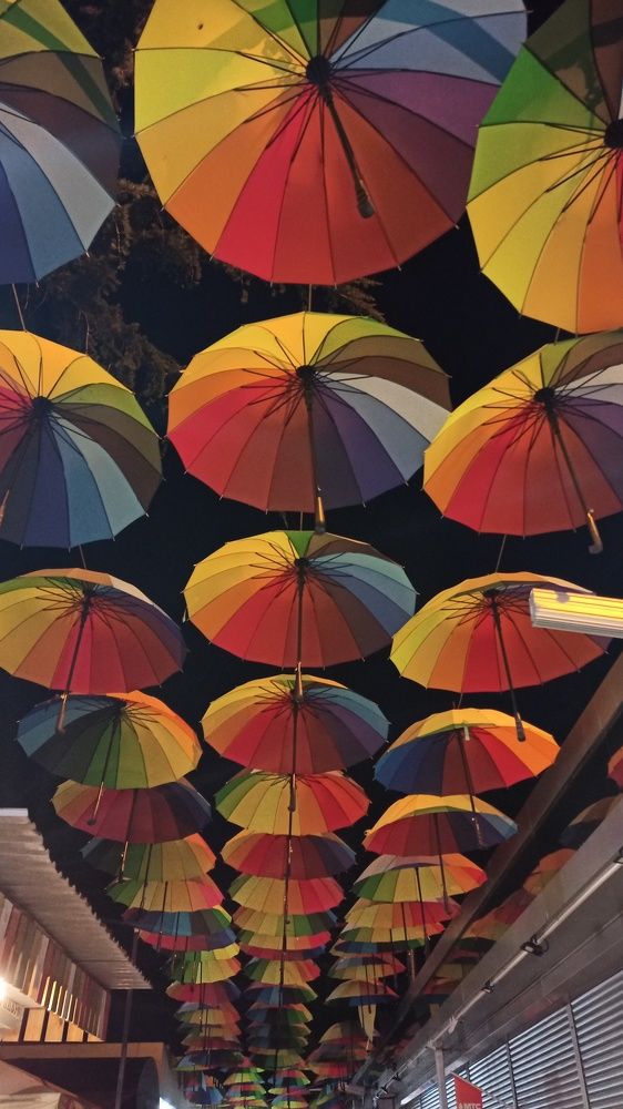 Photograph by Ольга Рогозина