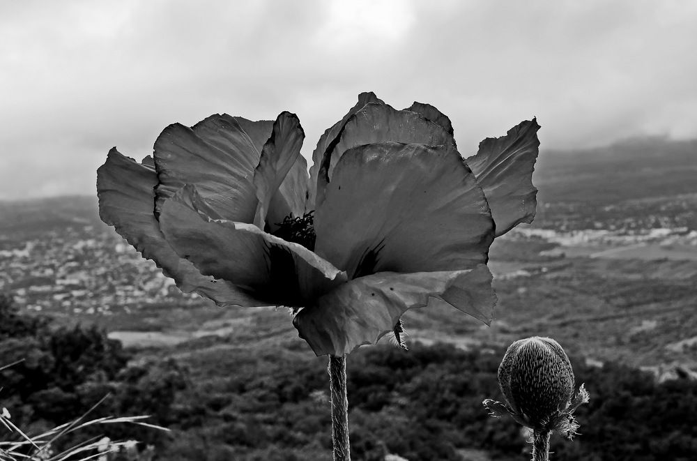 Photograph by Александр