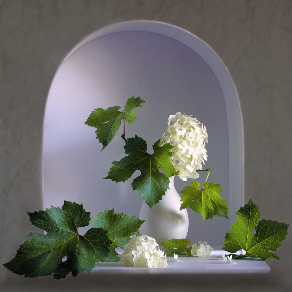 Photograph by Ольга Заболотская