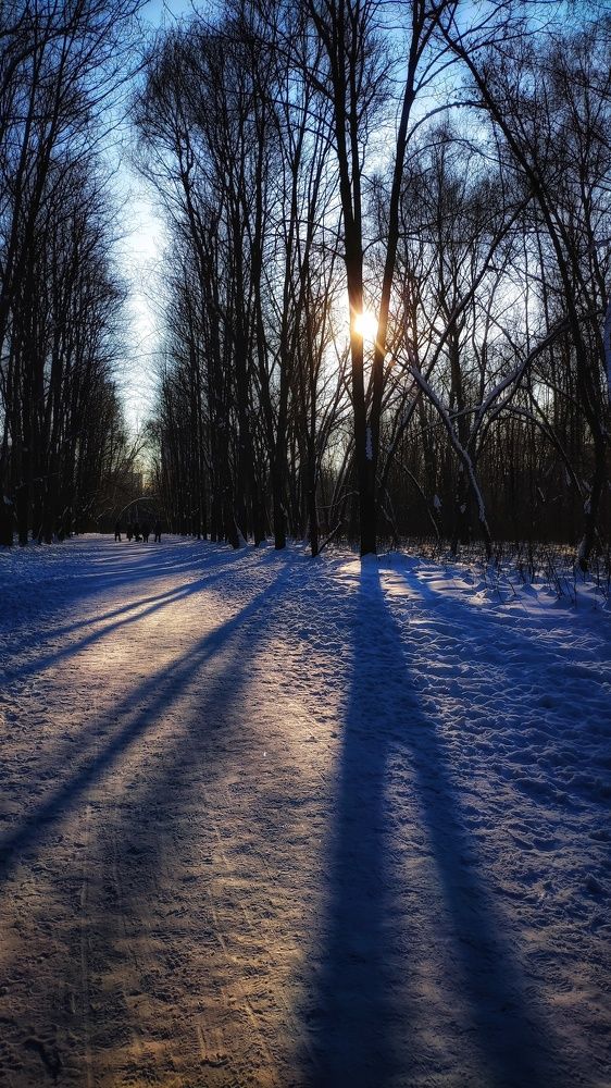 Photograph by Анна Корнейко