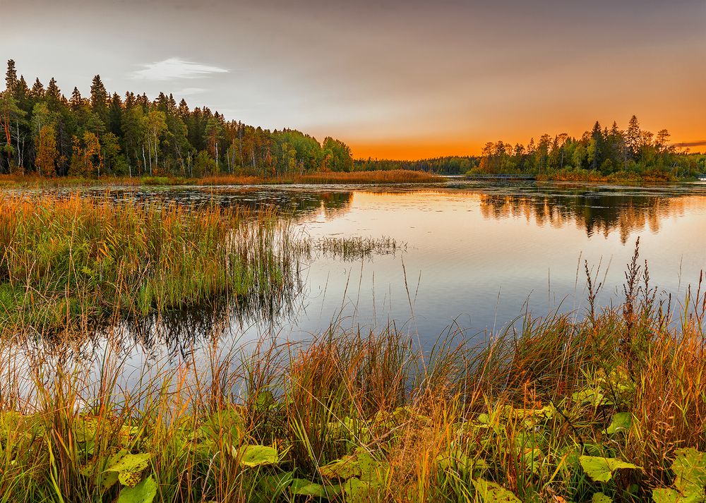 Photograph by Владимир Ушаров