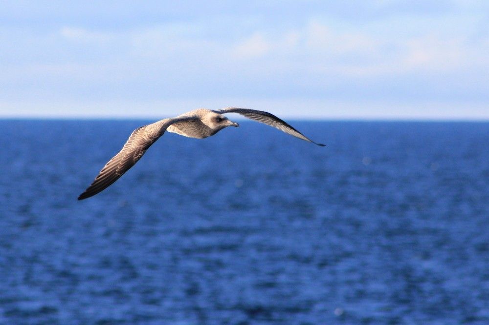 Photograph by Тимофей Петров