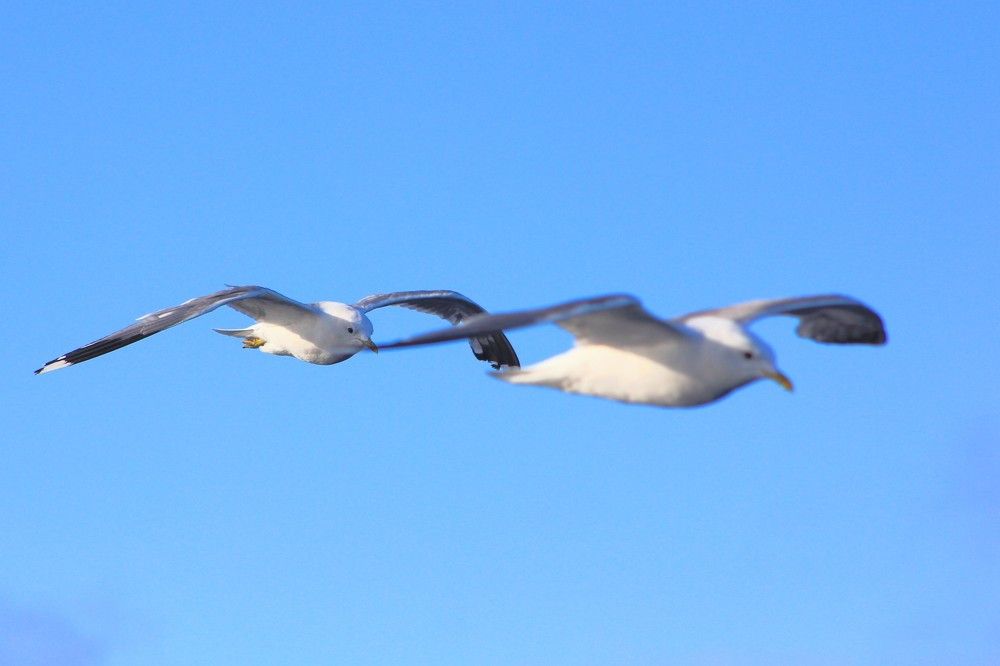 Photograph by Тимофей Петров