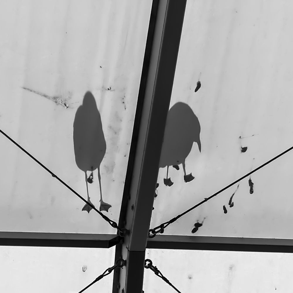 Фотография автора Jian Ma