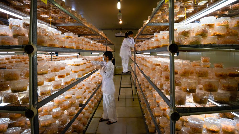 Photograph by Lê Tùng