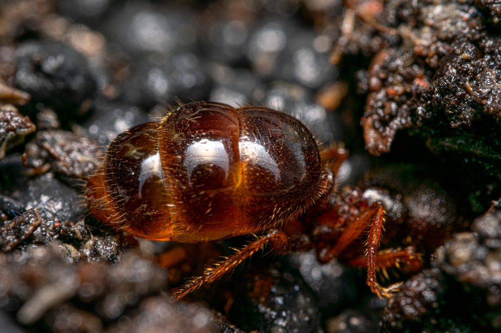 Photograph by Martin Pham