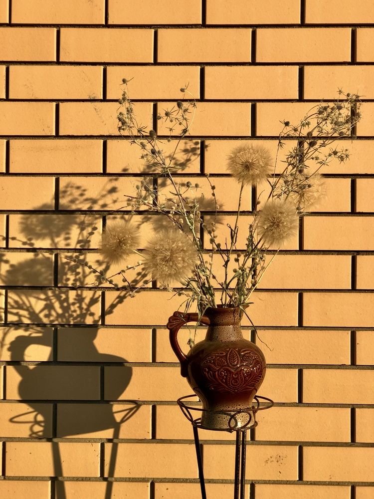 Photograph by Наталья Перерва