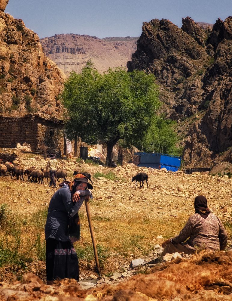 Photograph by Javad zavvar