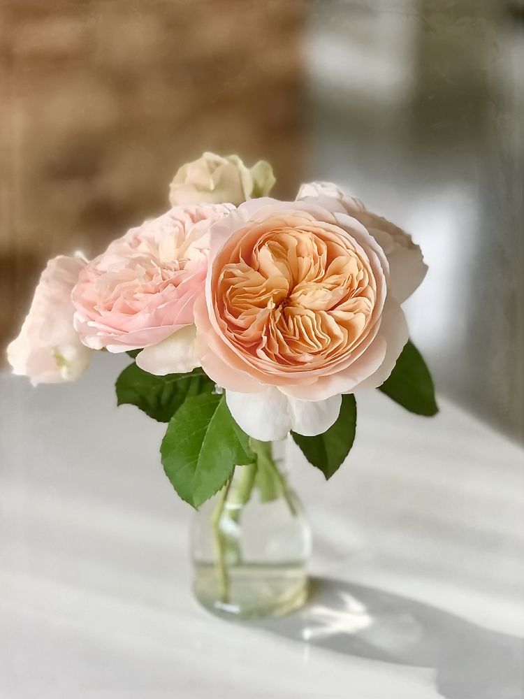 Photograph by Людмила Ефремова