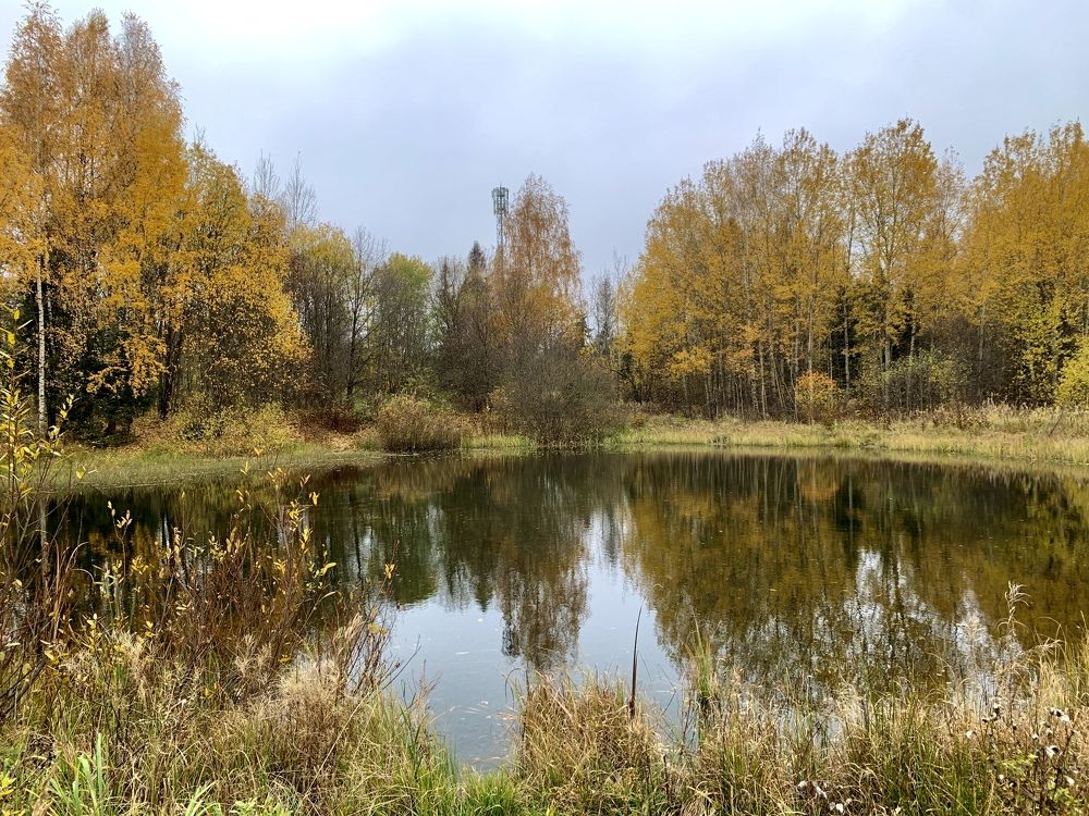 Photograph by Елена Смирнова