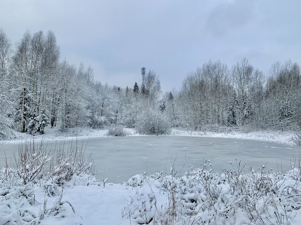 Photograph by Елена Смирнова