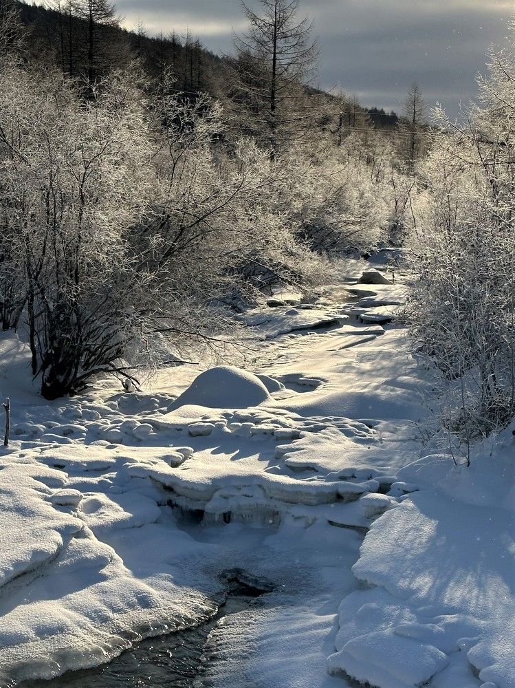 Photograph by Евгения Казакова