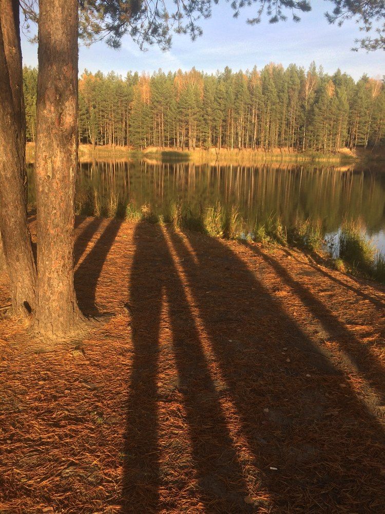 Photograph by Дарья