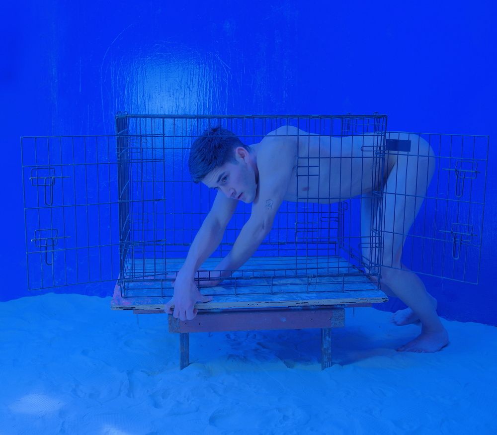 hallucination of a maze