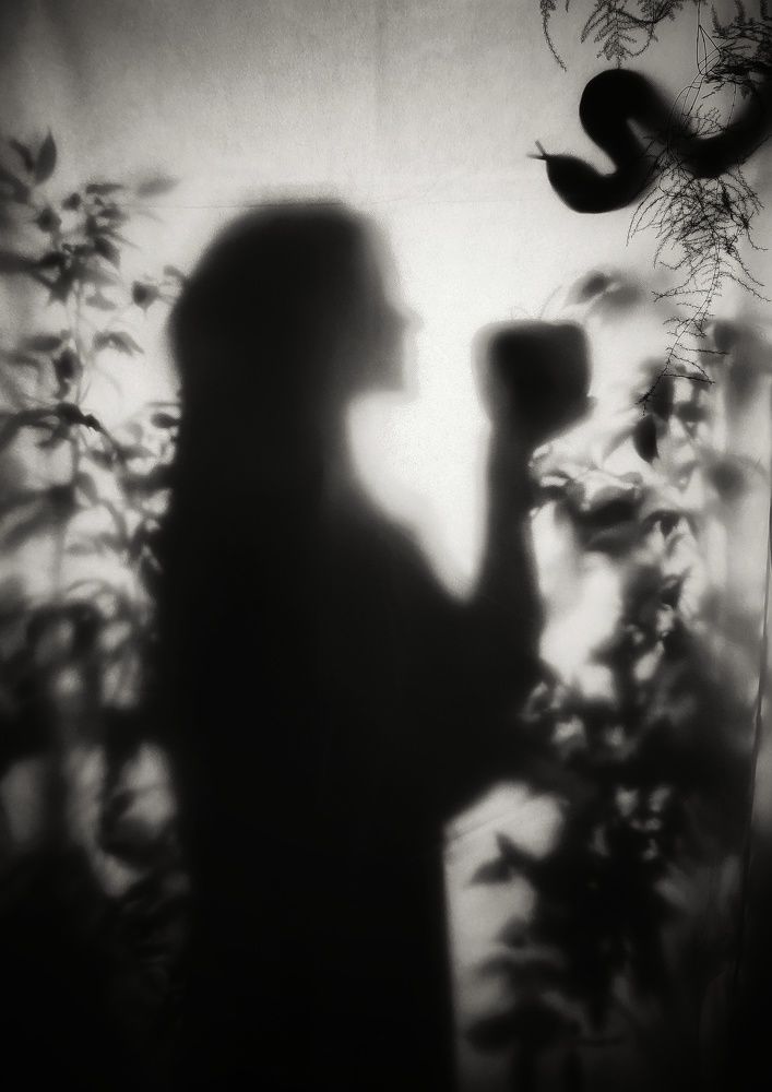 Photograph by Елена Дегтяренко