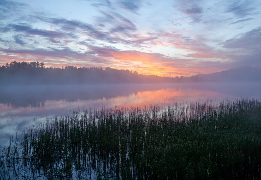 Photograph by Марина Новожилова