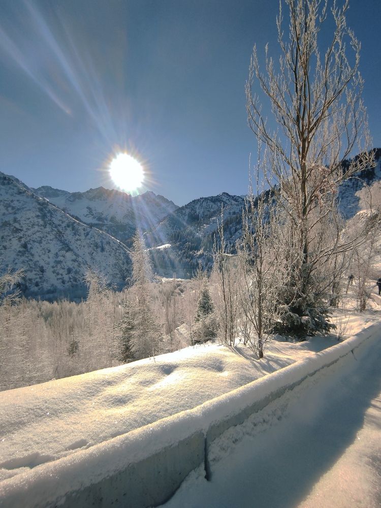 Photograph by Ziya Yussimov