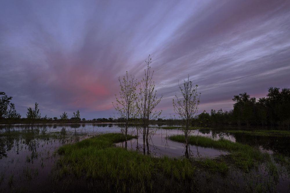Фотография автора Игорь Баранов