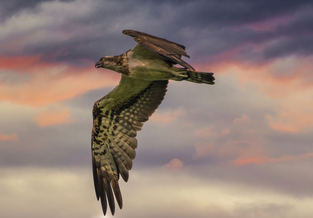 Photograph by G N RAJA