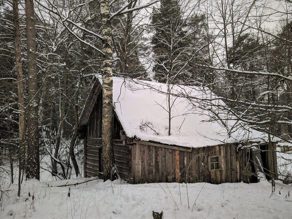 Фотография автора IRINA FILIPPOVA