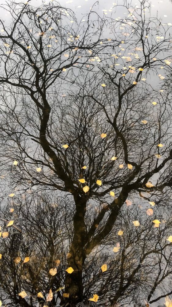 Photograph by Kaiser Sozo