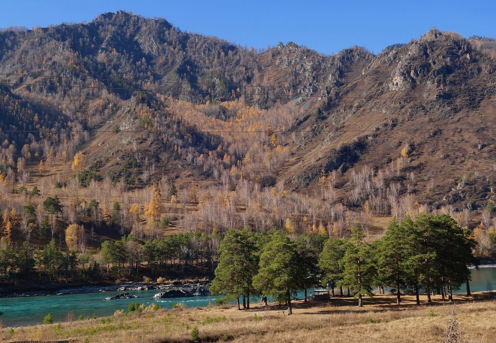 Photograph by Сергей Гребенников