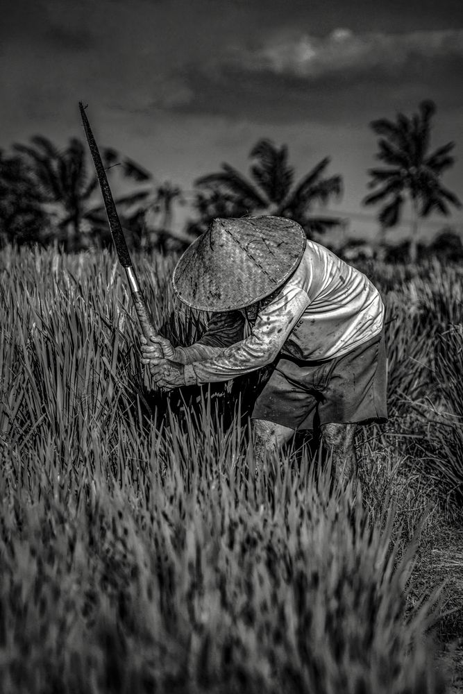 Photograph by Roberto Maldonado