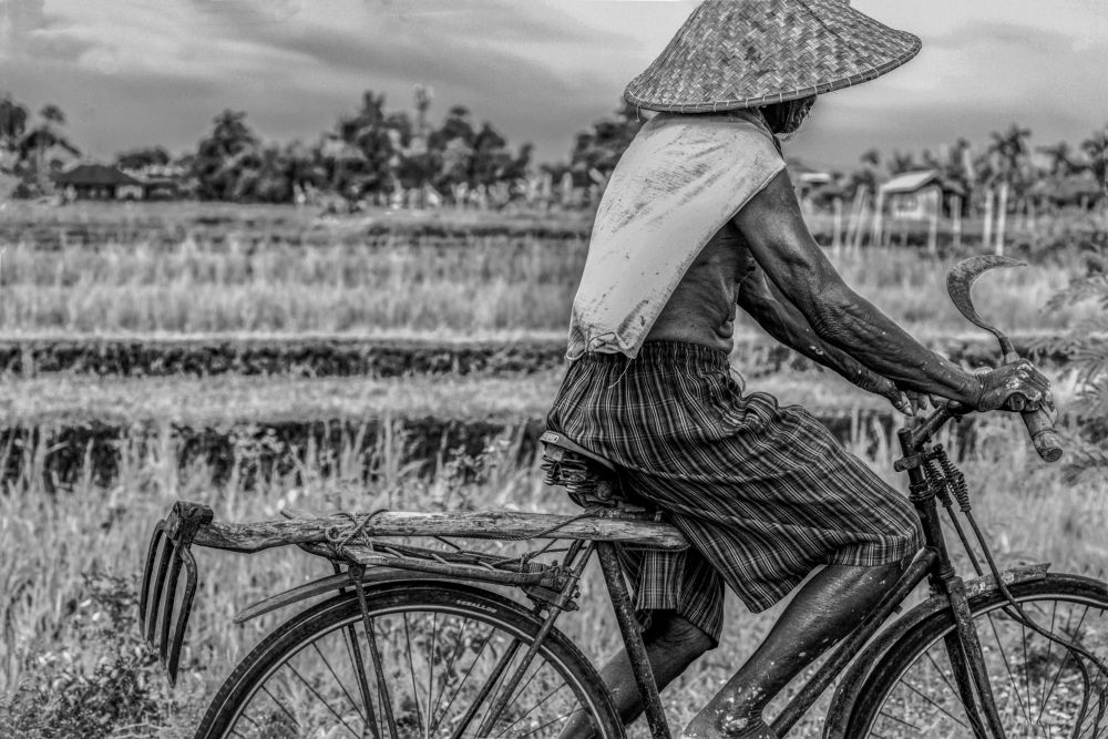 Photograph by Roberto Maldonado