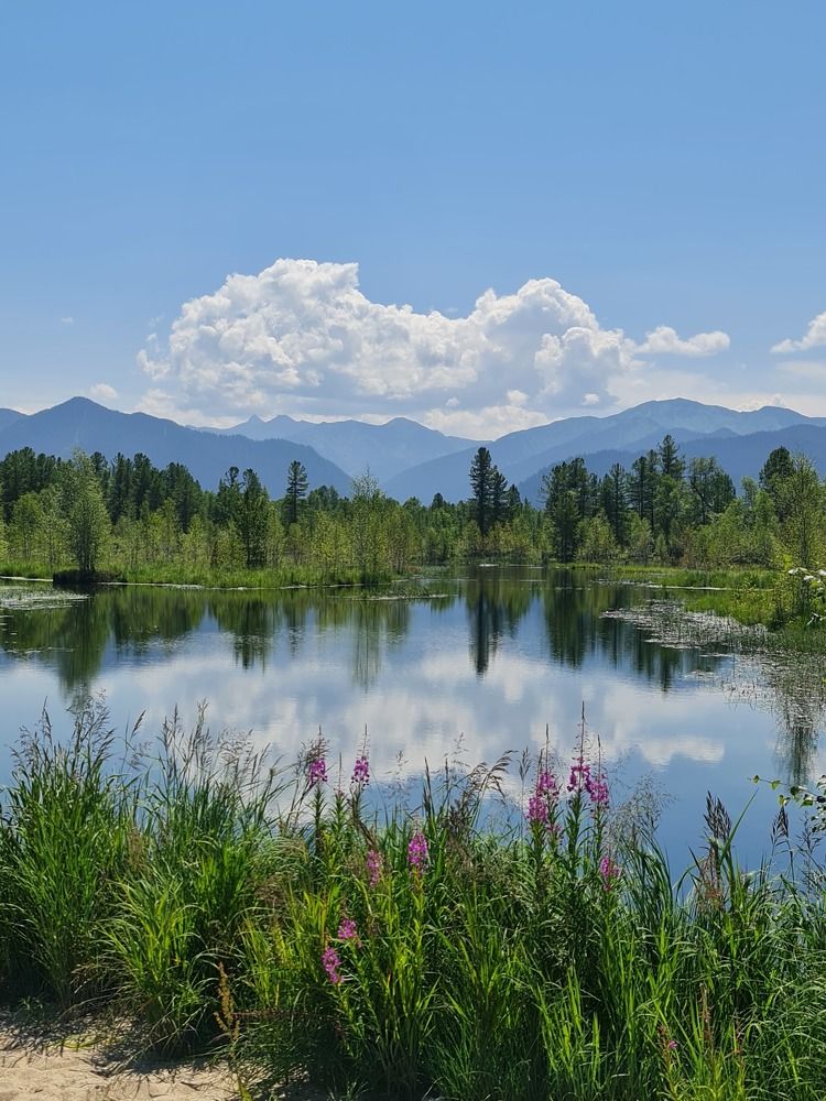 Photograph by Алексей Миронов