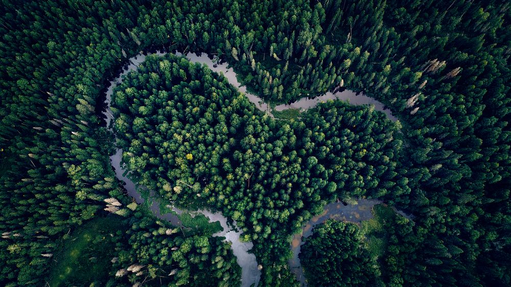 Photograph by Илья Лисаускас