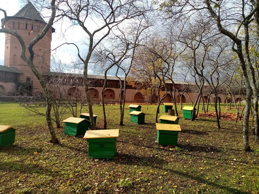 Photo #8419315