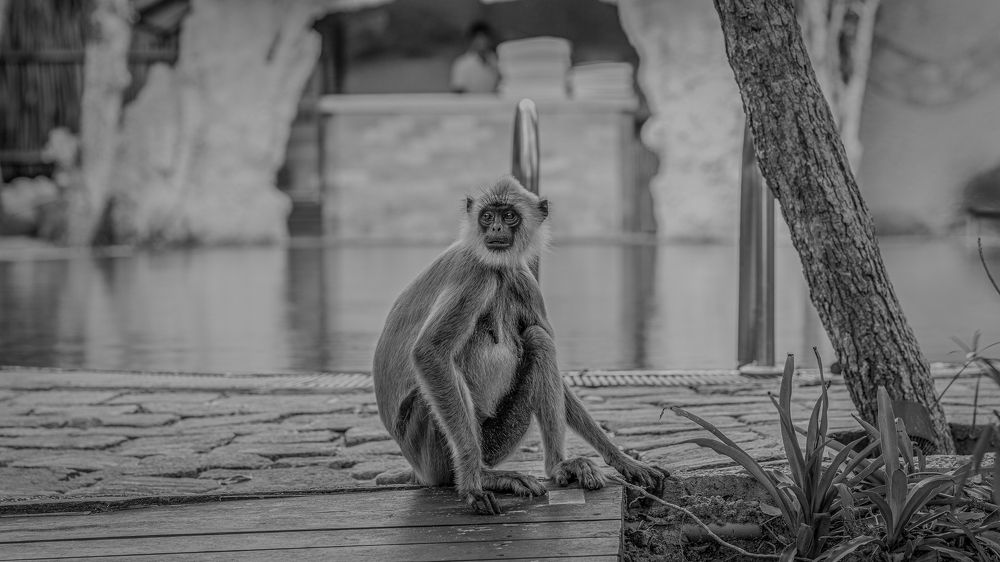 Фотография автора Raoul Rutnam