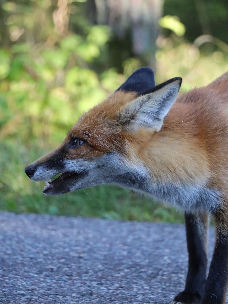 Photograph by Алексей