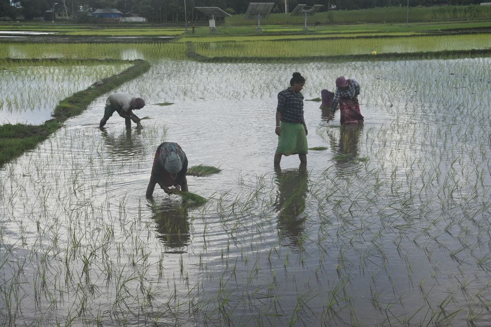 Photograph by Roy Mantu