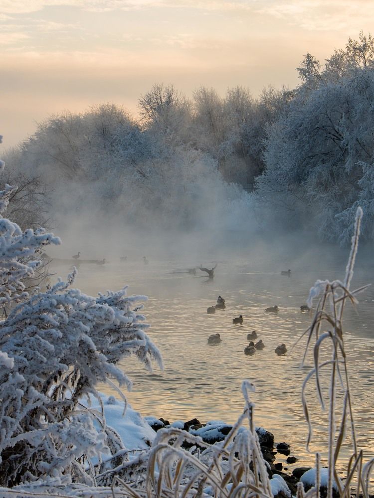 Photograph by Максим Фролов