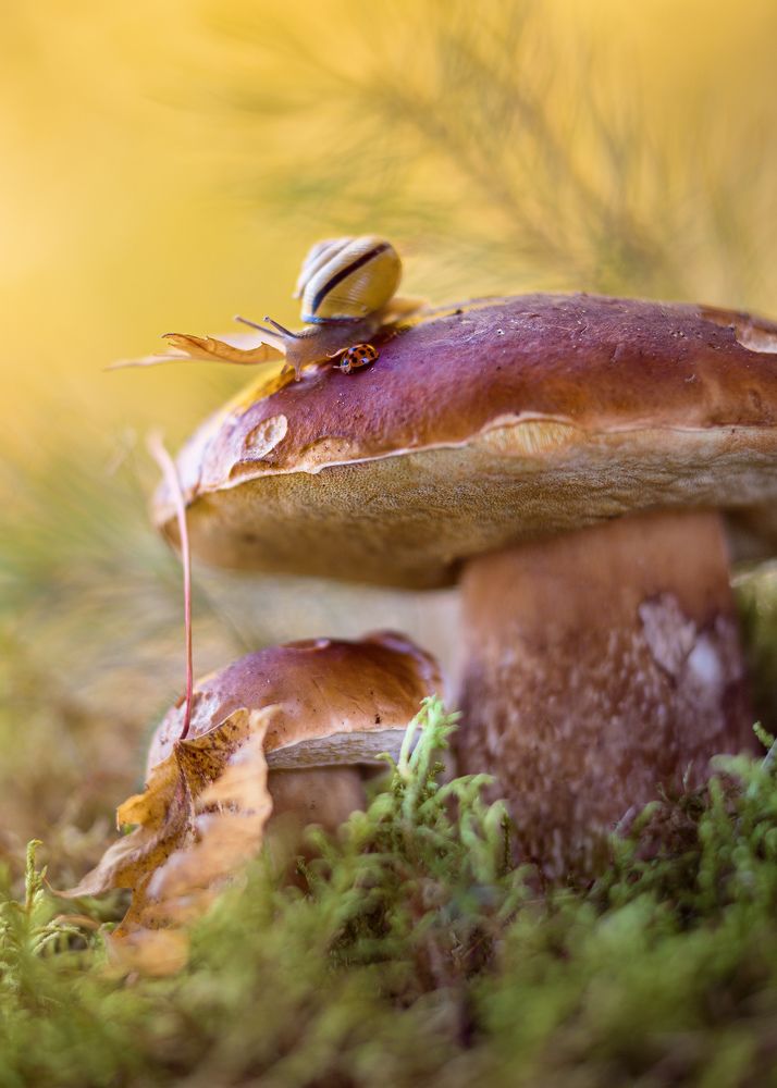 К полету-готовы!)