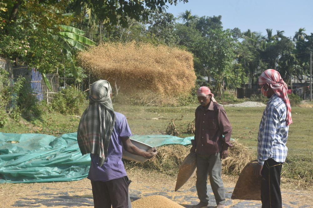 Photograph by Roy Mantu