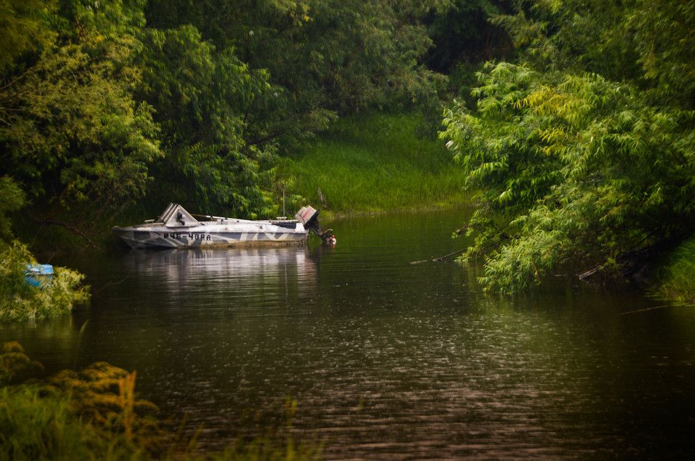 Photograph by Наталья Мордовская