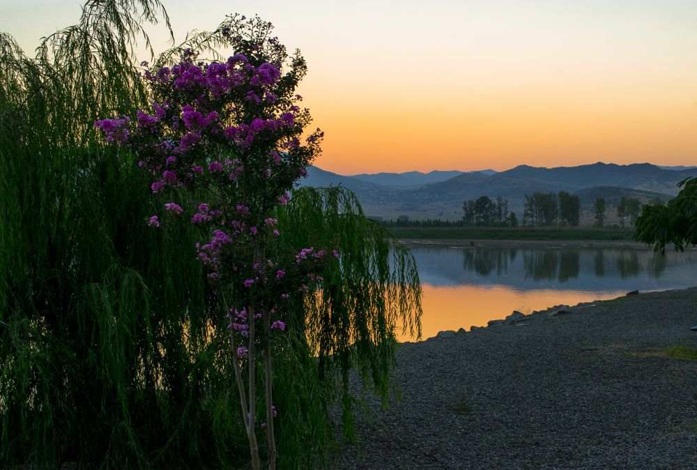 Озеро Лиси. Грузия